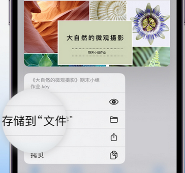 河南apple维修中心分享iPhone文件应用中存储和找到下载文件