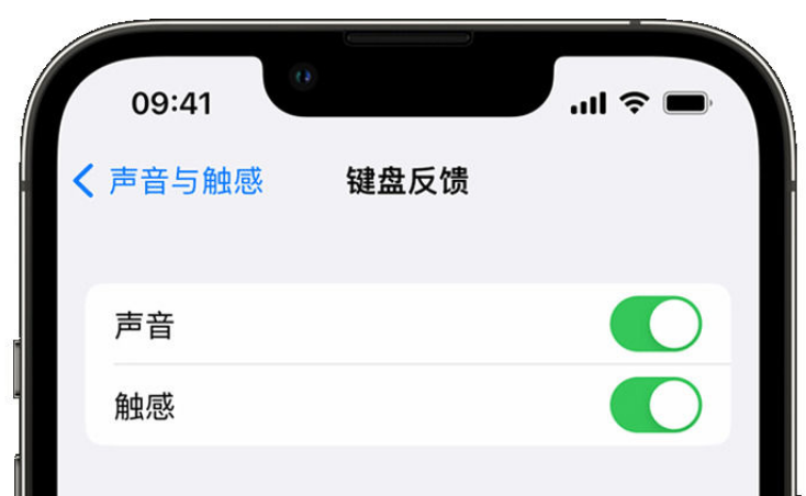 河南苹果手机维修分享iPhone 14触感键盘使用方法 