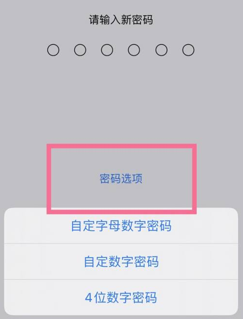 河南苹果14维修分享iPhone 14plus设置密码的方法 