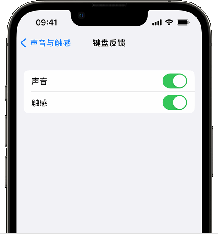 河南苹果14维修分享iPhone 14 系列机型如何开启键盘声音或触感反馈 