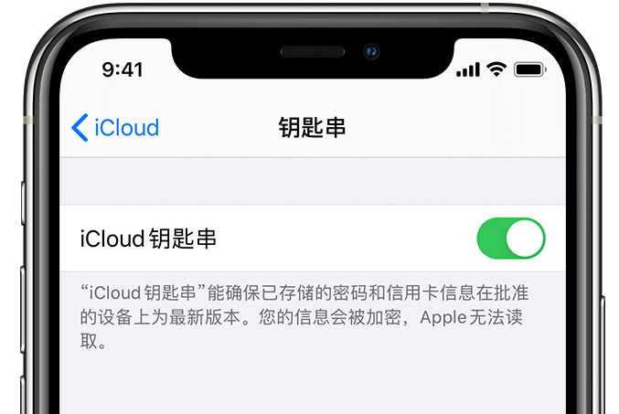 河南苹果手机维修分享在 iPhone 上开启 iCloud 钥匙串之后会储存哪些信息 