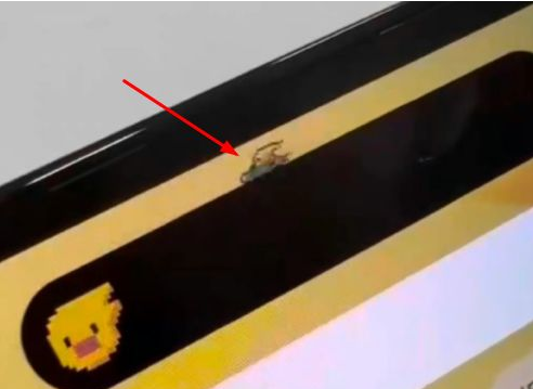 河南苹果14维修分享iPhone 14 Pro Max灵动岛怎么养宠物 