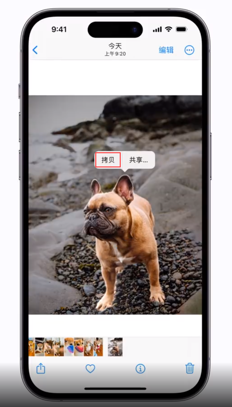 河南苹果手机维修分享 iOS 16 自带一键抠图功能 