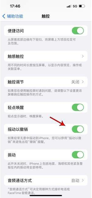 河南苹果手机维修分享iPhone手机如何设置摇一摇删除文字 