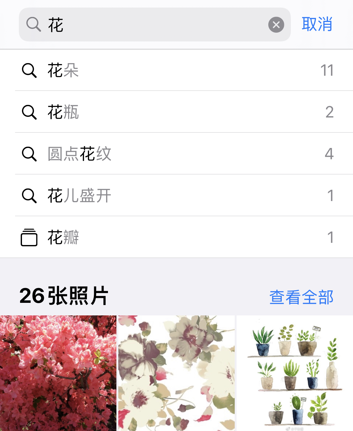 河南苹果手机维修分享iPhone 小技巧 
