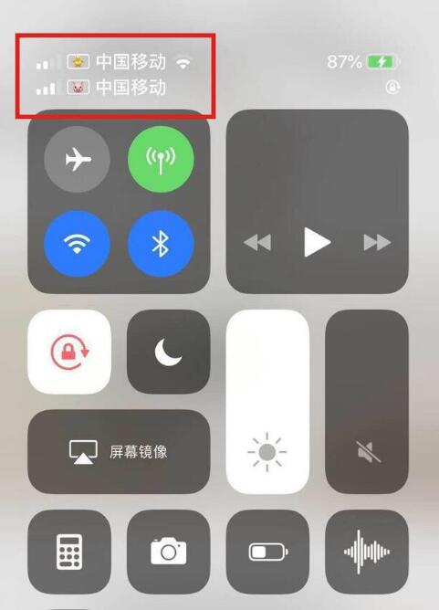 河南苹果手机维修分享为 iPhone 12 双卡设置标签 